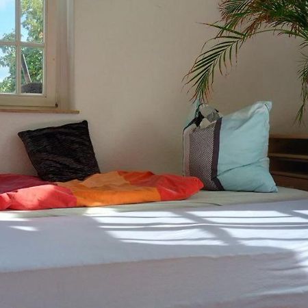 Forrest Apartments In Freiberg Min Stay 2 Nights Max Number Of Guest 1 Aprt 1 エクステリア 写真