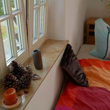 Forrest Apartments In Freiberg Min Stay 2 Nights Max Number Of Guest 1 Aprt 1 エクステリア 写真