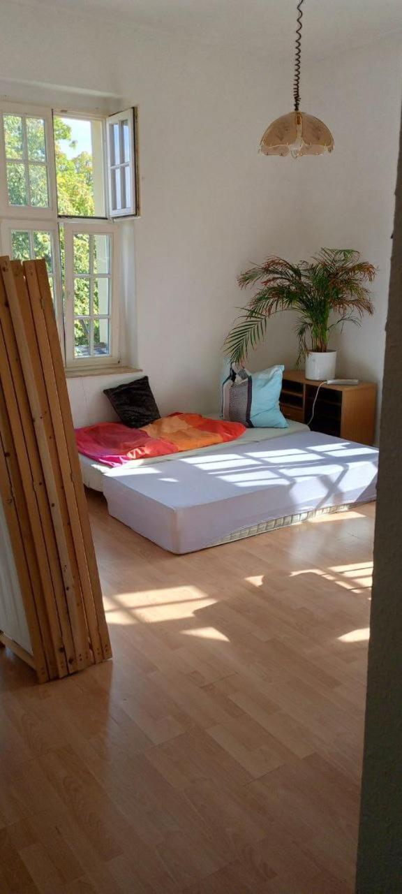 Forrest Apartments In Freiberg Min Stay 2 Nights Max Number Of Guest 1 Aprt 1 エクステリア 写真