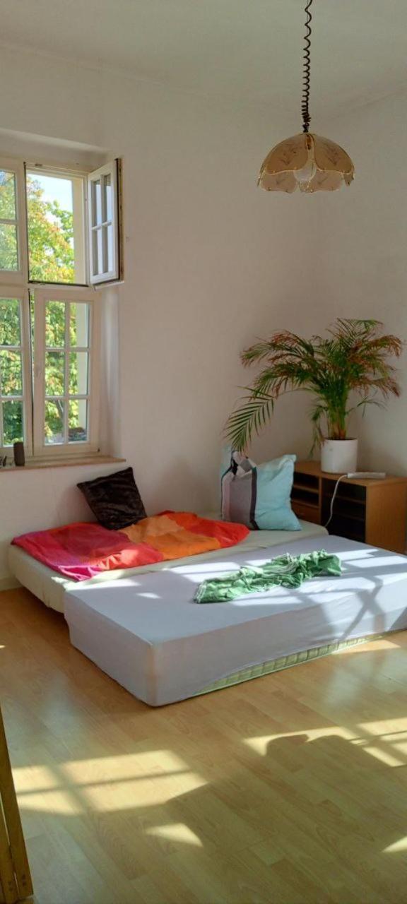 Forrest Apartments In Freiberg Min Stay 2 Nights Max Number Of Guest 1 Aprt 1 エクステリア 写真