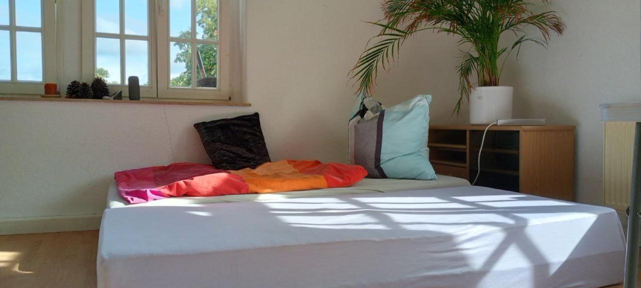 Forrest Apartments In Freiberg Min Stay 2 Nights Max Number Of Guest 1 Aprt 1 エクステリア 写真